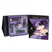 Подарочный набор Geishas secret из 5 предметов - Shunga - купить с доставкой в Жуковском