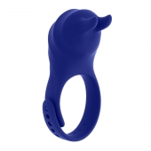 Синее эрекционное виброкольцо с клиторальной подушечкой и пультом ДУ Adjustable Fun Ring - Zero Tolerance - в Жуковском купить с доставкой