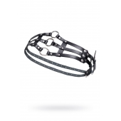 Черный кожаный пояс с кольцами - Pecado - купить с доставкой в Жуковском