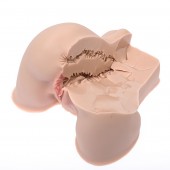 Мастурбатор-полуторс Naked Factory Kate - Naked Factory - в Жуковском купить с доставкой