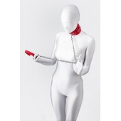 Красный ошейник с подкладкой из меха - ToyFa - купить с доставкой в Жуковском