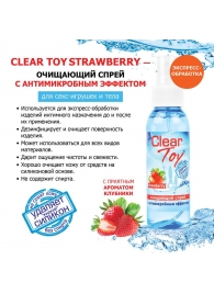 Очищающий спрей для игрушек CLEAR TOY Strawberry - 100 мл. - Биоритм - купить с доставкой в Жуковском