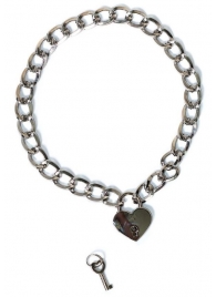 Серебристый ошейник Embrace с ключиком - Lola Games - купить с доставкой в Жуковском