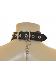 Ошейник  Веселый Роджер - Sitabella - купить с доставкой в Жуковском