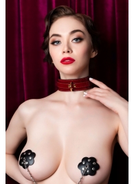 Красный ошейник из лакированного материала - ToyFa - купить с доставкой в Жуковском