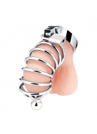 Серебристая клетка для члена Urethral Play Cage - BlueLine - купить с доставкой в Жуковском