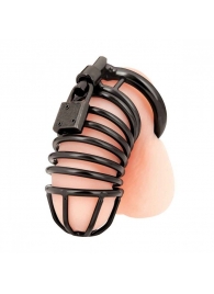 Черная металлическая клетка с замком Deluxe Chastity Cage - BlueLine - купить с доставкой в Жуковском
