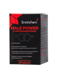 Капсулы для мужчин Erotichard male power с пантогематогеном - 20 капсул (0,370 гр.) - Erotic Hard - купить с доставкой в Жуковском