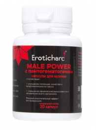 Капсулы для мужчин Erotichard male power с пантогематогеном - 20 капсул (0,370 гр.) - Erotic Hard - купить с доставкой в Жуковском