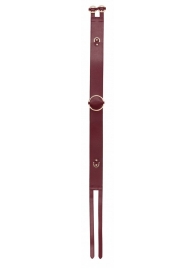 Бордовый ремень Halo Waist Belt - размер L-XL - Shots Media BV - купить с доставкой в Жуковском