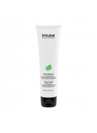 Водный лубрикант Nuei Inlube с алоэ вера и ароматом мяты - 100 мл. - Nuei cosmetics - купить с доставкой в Жуковском