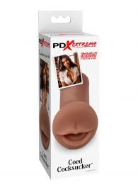 Мастурбатор-ротик Coed Cocksucker - Pipedream - в Жуковском купить с доставкой