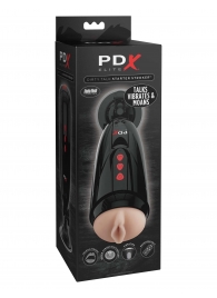 Мастурбатор-вагина с вибрацией Dirty Talk Starter Stroker - Pipedream - в Жуковском купить с доставкой