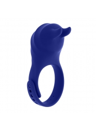 Синее эрекционное виброкольцо с клиторальной подушечкой и пультом ДУ Adjustable Fun Ring - Zero Tolerance - в Жуковском купить с доставкой