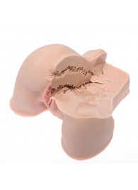 Мастурбатор-полуторс Naked Factory Kate - Naked Factory - в Жуковском купить с доставкой