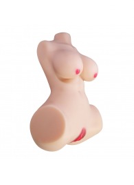 Мастурбатор-торс Aveline с 2 любовными тоннелями - Baile - в Жуковском купить с доставкой