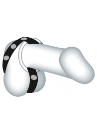 Подхват для мошонки с 3 съемными эрекционными кольцами Leder-Riemen - Orion - в Жуковском купить с доставкой