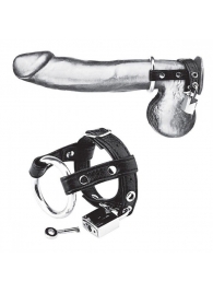 Утяжка на пенис на замочке Duo Cock And Ball Lock - BlueLine - купить с доставкой в Жуковском