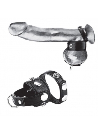 Утяжка для мошонки и пениса Cock Ring With 1  Ball Stretcher And Optional Weight Ring - BlueLine - купить с доставкой в Жуковском