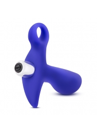 Синий стимулятор простаты с ручкой-кольцом Performance Prostimulator 02 - Blush Novelties - в Жуковском купить с доставкой