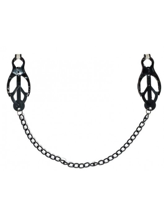 Зажимы на соски Darkside с цепочкой - Lola Games - купить с доставкой в Жуковском