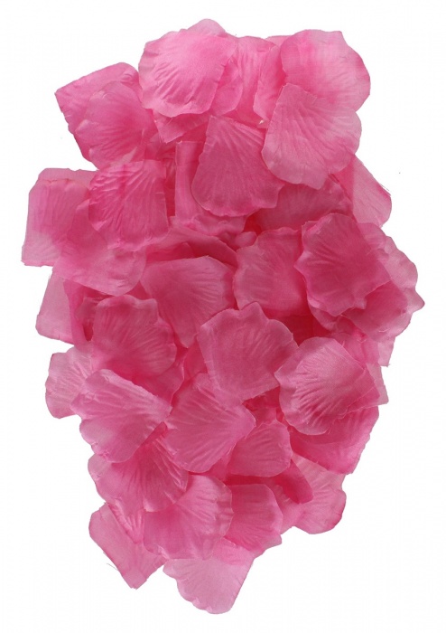 Эротический набор FANTASTIC PURPLE SEX TOY KIT - Toy Joy - купить с доставкой в Жуковском