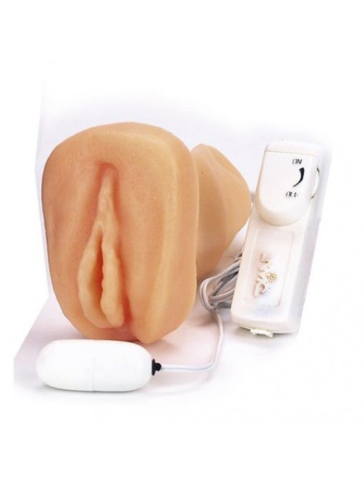 Мастурбатор-вагина с вибрацией ELLY POCKET PAL VAGINA MULTISPEED - NMC - в Жуковском купить с доставкой