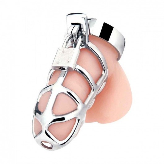 Серебристая металлическая клетка для члена с замком Enslave Cock Cage - BlueLine - купить с доставкой в Жуковском