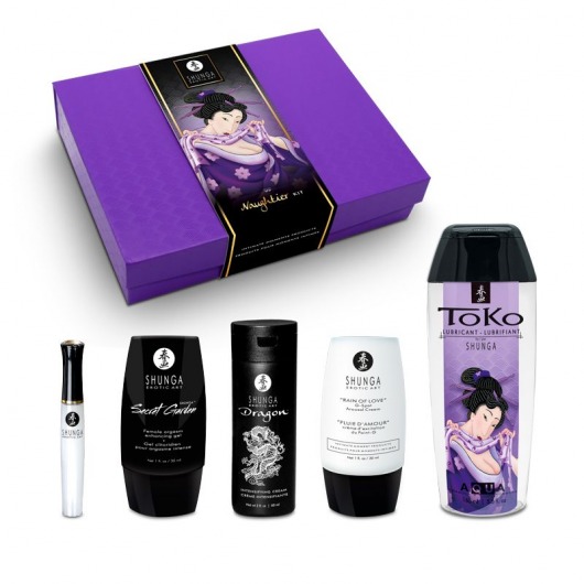 Подарочный набор Naughter Kit - Shunga - купить с доставкой в Жуковском