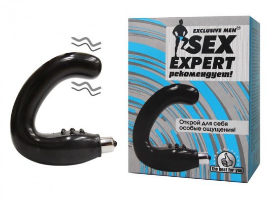 Чёрный массажёр простаты серии Sex Expert - Sex Expert - в Жуковском купить с доставкой