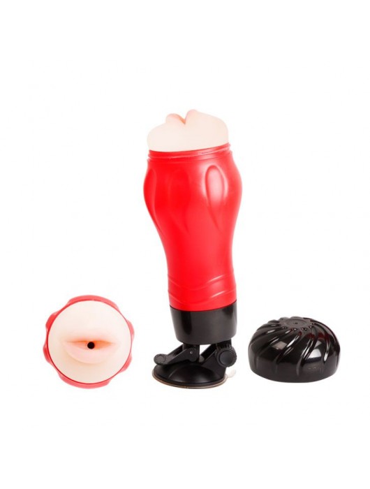 Мега-мастурбатор-ротик Flora - Baile - в Жуковском купить с доставкой