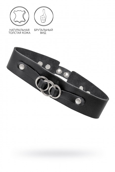 Черный чокер-ошейник со связанными кольцами на подложке - Pecado - купить с доставкой в Жуковском