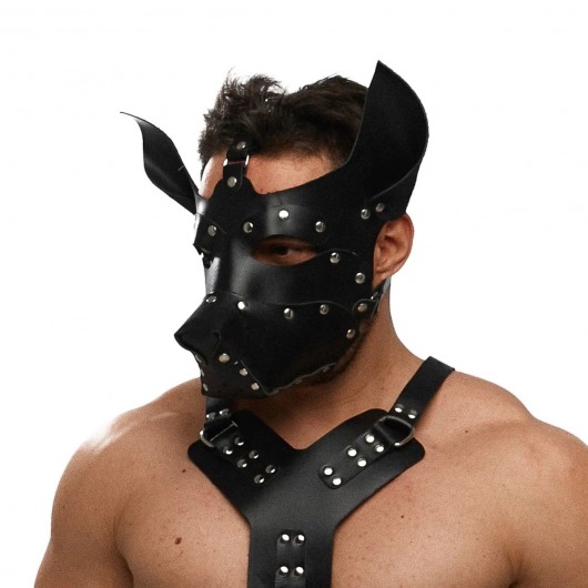 Черная кожаная маска «Собака» - Crazy Handmade - купить с доставкой в Жуковском