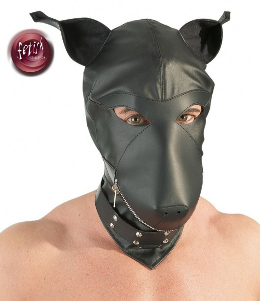 Шлем-маска Dog Mask в виде морды собаки - Orion - купить с доставкой в Жуковском