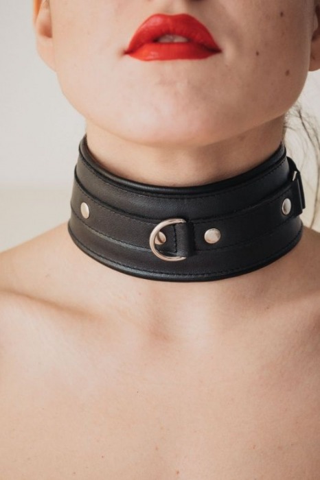 Ошейник из гладкой кожи - БДСМ Арсенал - купить с доставкой в Жуковском