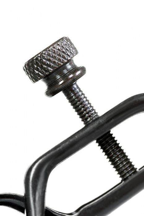 Черно-золотистые зажимы для сосков TOYFA Theatre - ToyFa - купить с доставкой в Жуковском