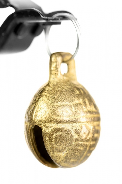 Черно-золотистые зажимы для сосков TOYFA Theatre - ToyFa - купить с доставкой в Жуковском