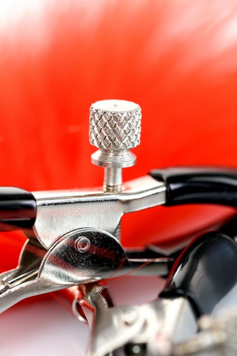 Зажимы для сосков с красным пухом Theatre - ToyFa - купить с доставкой в Жуковском